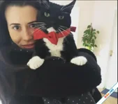 Bỏ nghề giám đốc đi trông chó mèo