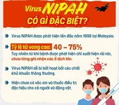 Virus Nipah: Không hoảng loạn, chỉ cần biết điều này