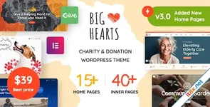 BigHearts - Charity & Donation WordPress Theme