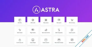 Astra Pro Addon - WordPress Theme for Any Website