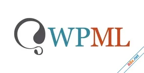 WPML String Translation Addon