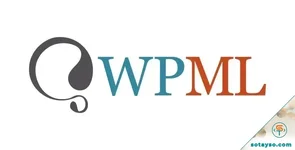 WPML String Translation Addon