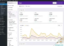 Independent Analytics Pro - Google Analytics Alternative