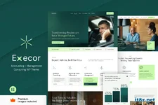 Execor - Accounting and Management Consulting WordPress Theme