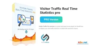 Visitor Traffic Real Time Statistics Pro