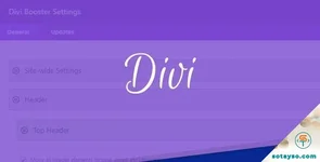 Divi Booster