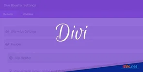 Divi Booster