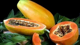 Những loại trái cây tốt nhất giúp hệ tiêu hóa luôn khỏe mạnh