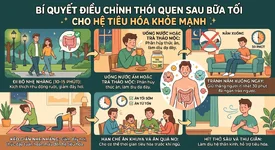 Bí quyết thay đổi thói quen nhỏ sau bữa tối giúp hệ tiêu hóa khỏe mạnh