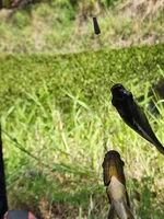 IMG_0645.webp