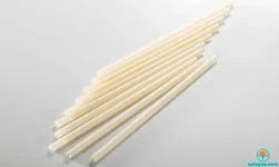 Nhựa sinh học PHA: Giải pháp cứu cánh hay chỉ là sự thay thế tạm thời?