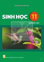 Sách giáo viên Sinh học 11 - Bộ sách thống nhất 2026