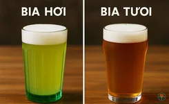 Phân biệt bia hơi và bia tươi: Đâu là thức uống ngon hơn?